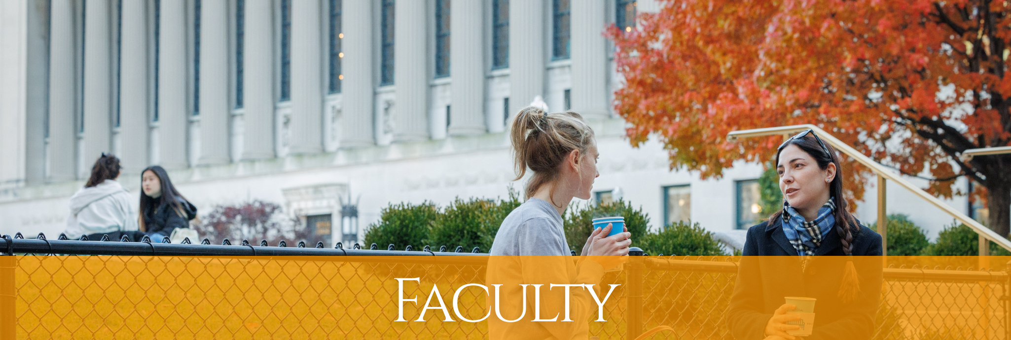 Faculty 